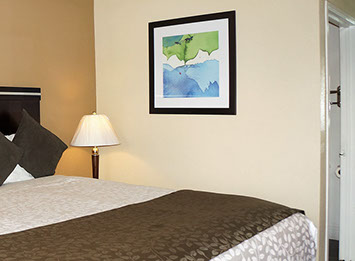 1 Queen accessible Guest room. 